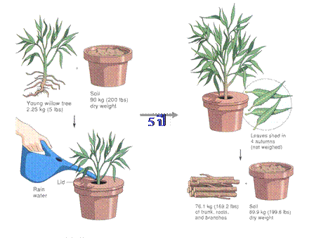 ข้อมูลภาพ การทดลองเกี่ยวกับการสังเคราะห์ด้วยแสง สำหรับหัวข้อ vinocum
